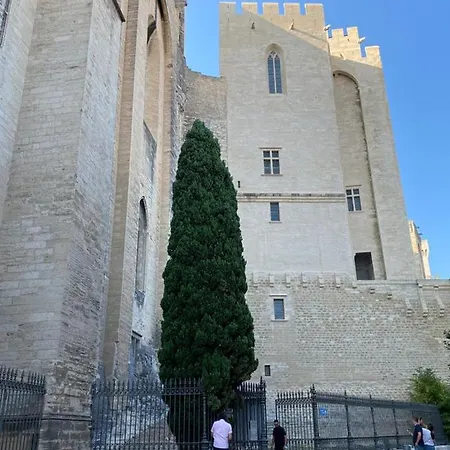 Le Patio Du Murier * Vers-Pont-du-Gard