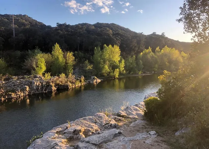 Le Patio Du Murier *