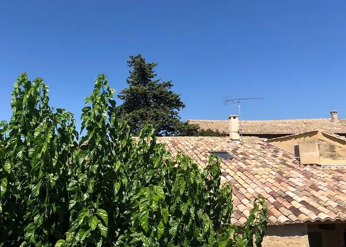 Le Patio Du Murier Vers-Pont-du-Gard